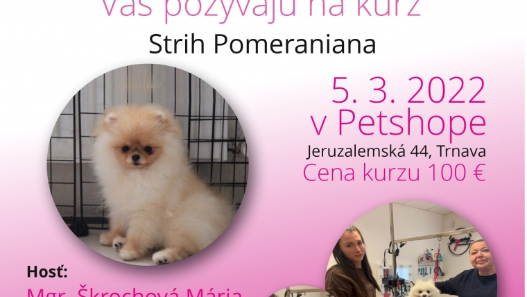 Kurz strihania Pomeraniana