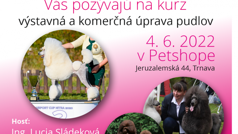 Kurz – seminár úpravy pudla