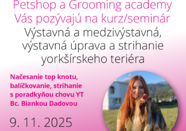Kurz – seminár yorkširského teriéra