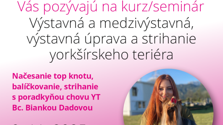 Kurz – seminár yorkširského teriéra